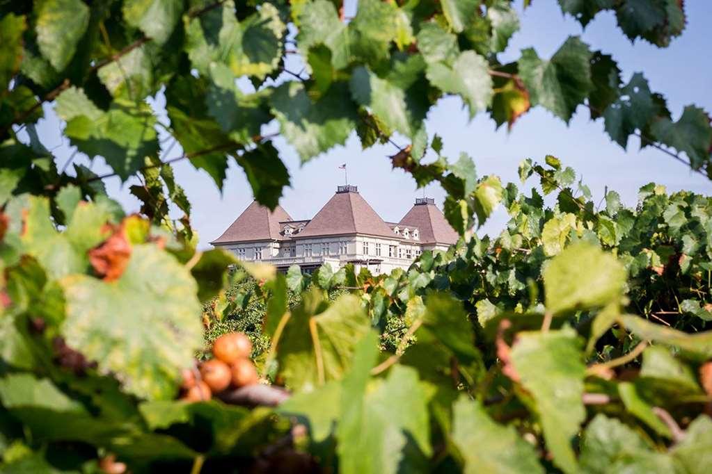 Chateau Elan Winery Braselton Exterior foto