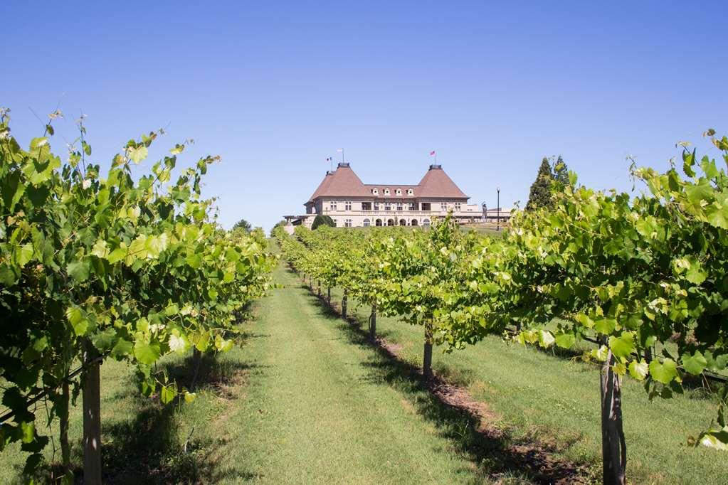 Chateau Elan Winery Braselton Exterior foto