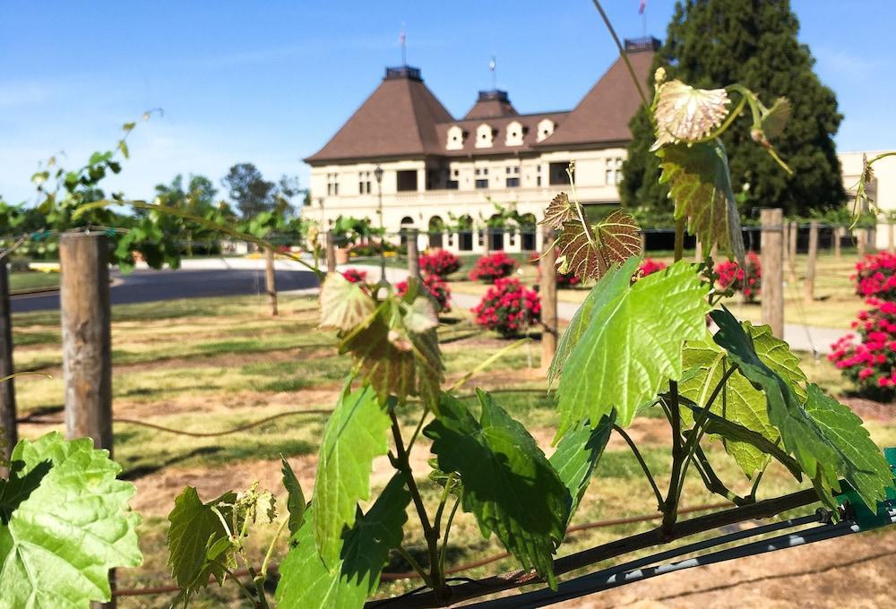 Chateau Elan Winery Braselton Exterior foto